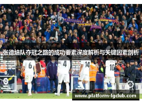 张德培队夺冠之路的成功要素深度解析与关键因素剖析