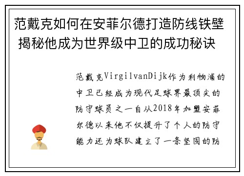 范戴克如何在安菲尔德打造防线铁壁 揭秘他成为世界级中卫的成功秘诀