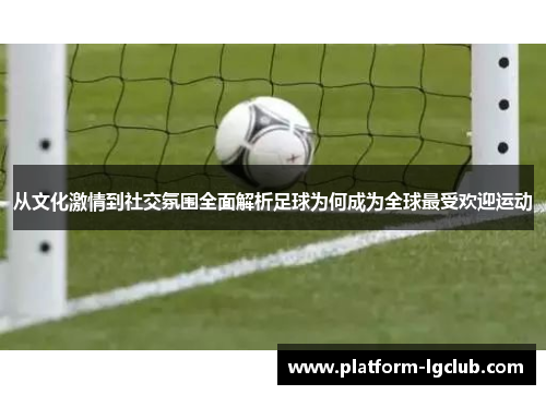 从文化激情到社交氛围全面解析足球为何成为全球最受欢迎运动