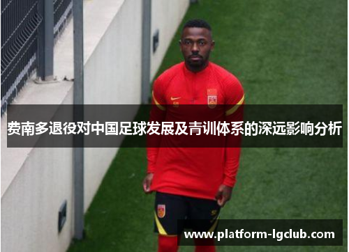 费南多退役对中国足球发展及青训体系的深远影响分析 费南多退役对中国足球发展及青训体系的深远影响分析