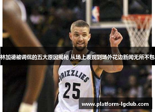 林加德被调侃的五大原因揭秘 从场上表现到场外花边新闻无所不包