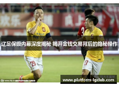 辽足保级内幕深度揭秘 揭开金钱交易背后的隐秘操作 辽足保级内幕深度揭秘 揭开金钱交易背后的隐秘操作