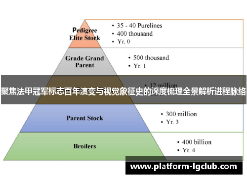 聚焦法甲冠军标志百年演变与视觉象征史的深度梳理全景解析进程脉络 聚焦法甲冠军标志百年演变与视觉象征史的深度梳理全景解析进程脉络