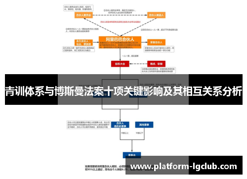 青训体系与博斯曼法案十项关键影响及其相互关系分析