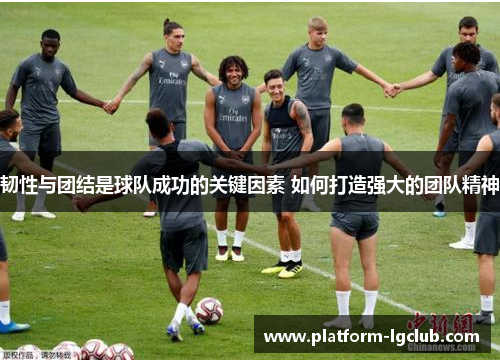 韧性与团结是球队成功的关键因素 如何打造强大的团队精神