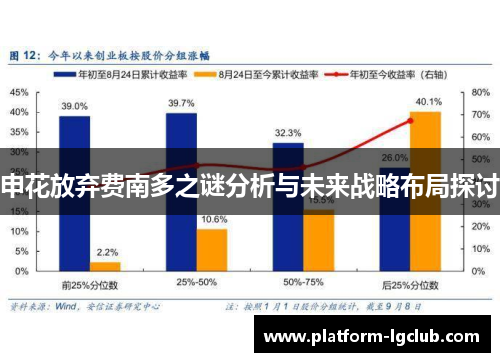 申花放弃费南多之谜分析与未来战略布局探讨